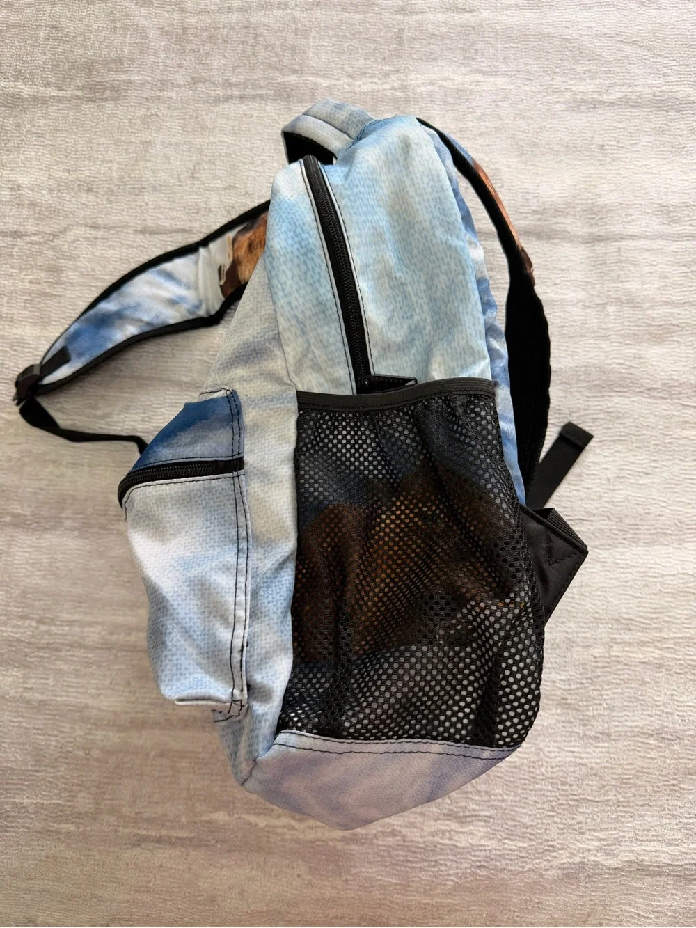 Capybara Print Blue Tie-Dye Backpack